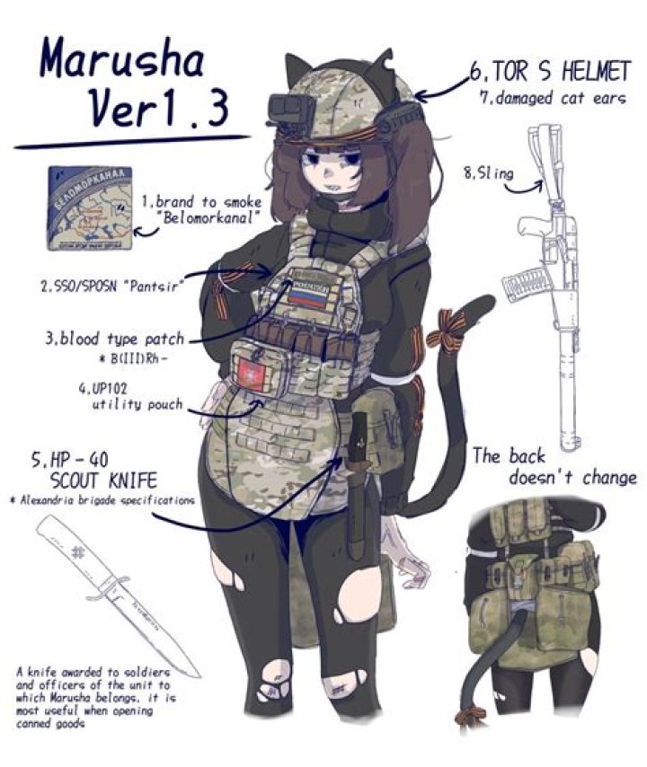 Marusha Vermögen