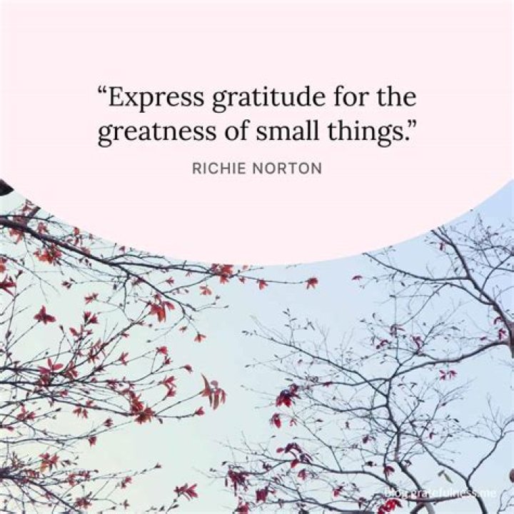 Memes About Gratitude: A Fun Way To Express Thankfulness
