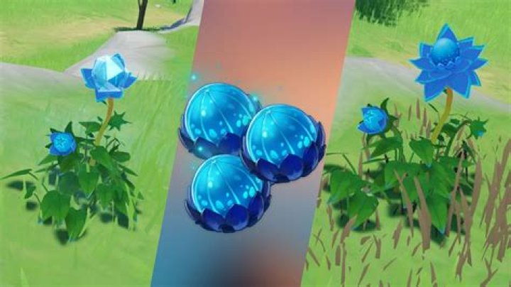 Mist Flower locations in Genshin Impact