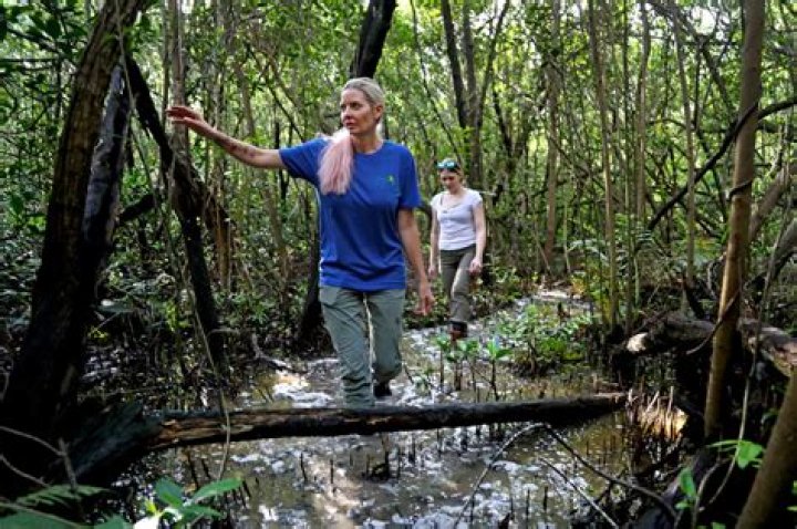 	Monkey sanctuary could be beginning of end for decades-old Dania Beach colony. They would be safer, fed — and sterilized	
