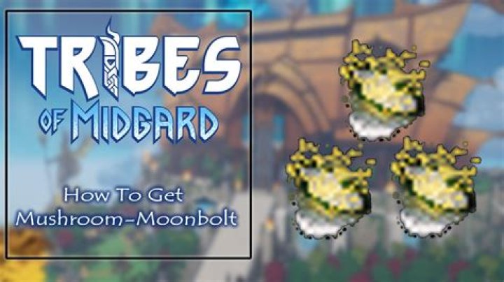 Mushroom Oil Tribes of Midgard: How to Get