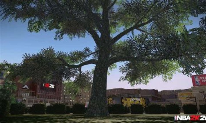 NBA 2K20: How to Play Disc Golf