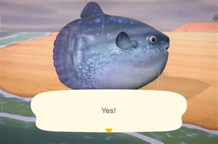 New fish and bugs for July in Animal Crossing: New Horizons