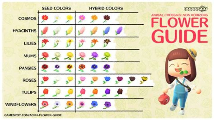 New Horizons Flower Breeding Chart