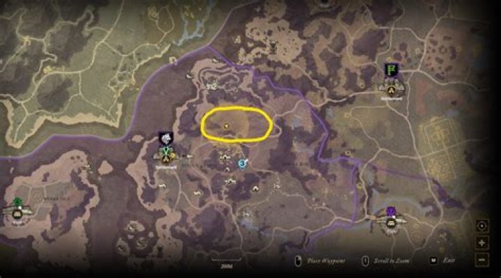 New World Churro Sheep: Where to Find