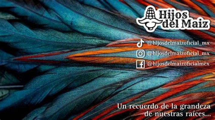 Ninguna Mujer Letras - Ninguna Mujer Traducciones