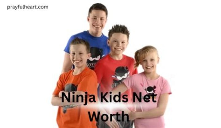 Ninja Kids Net Worth 2024