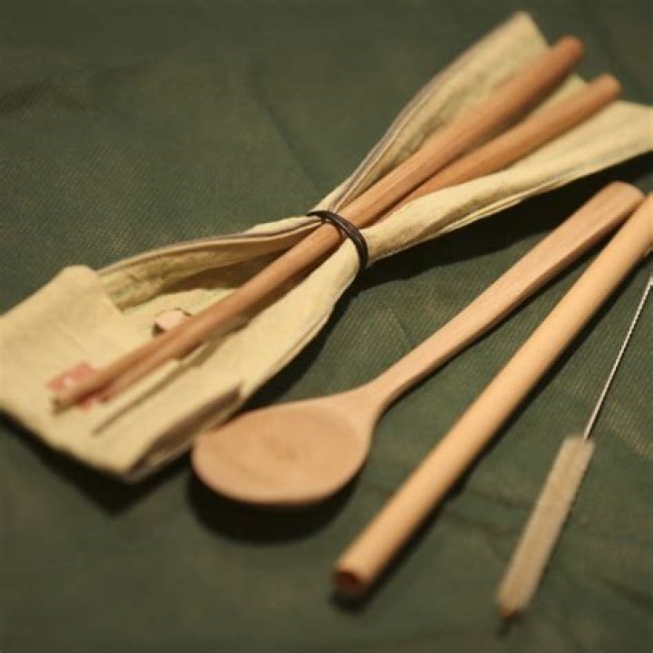 Opinion | Bamboo is a welcome alternative to plastic