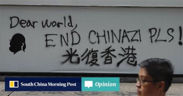 Opinion | How Hong Kong protest memes can spread hatred, racism and patent falsehoods