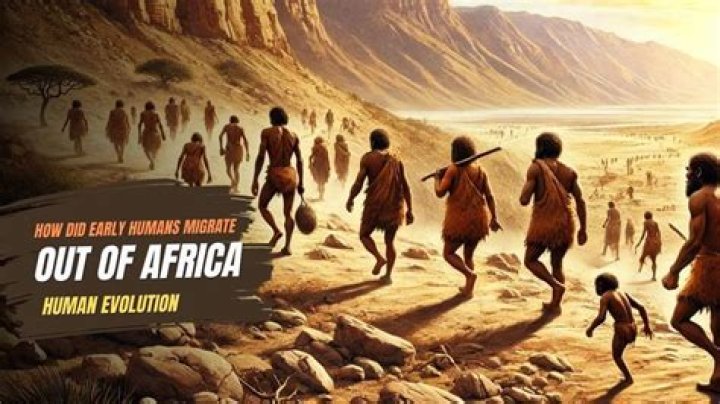 	OUT OF AFRICA, TO LYNN	