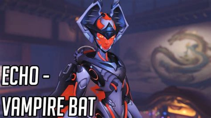 Overwatch Fan-Designed Skin Gives Echo a Bat Skin