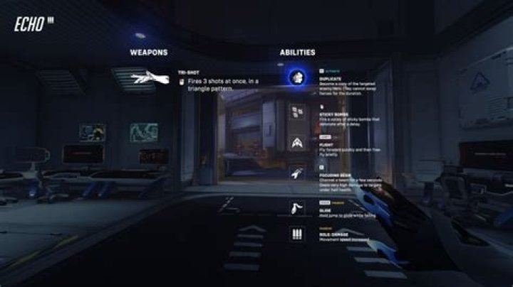 OW 2 Echo Rework Detailed