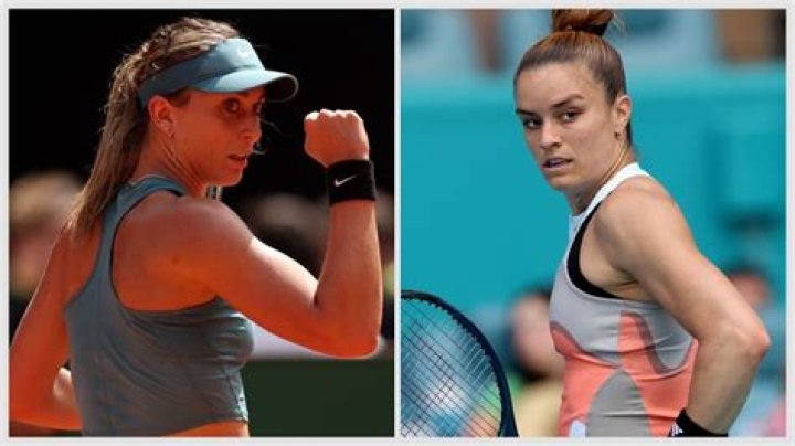 Paula Badosa vs Maria Sakkari preview, head-to-head, prediction, odds and pick
