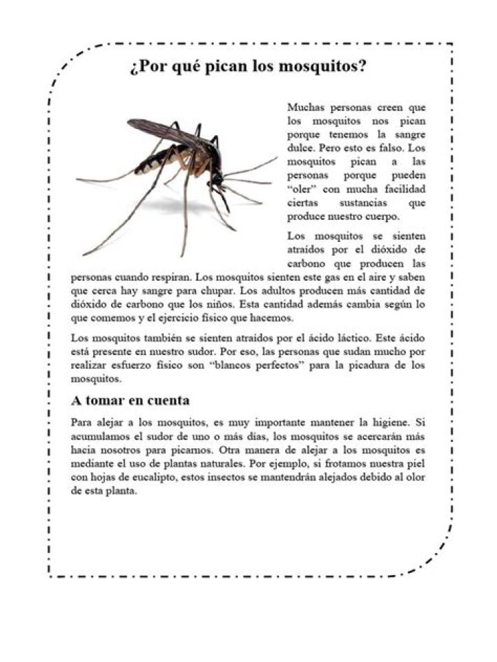 Pican Pican Los Mosquitos Letras - Pican Pican Los Mosquitos Traducciones