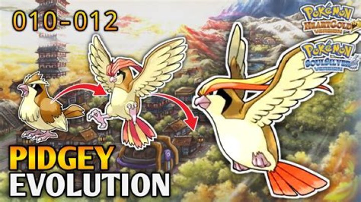 Pidgey Evolution in Pokemon Let's Go