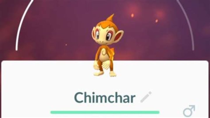 Pokemon GO Chimchar: How to Get Chimchar & Everything You Need to Know