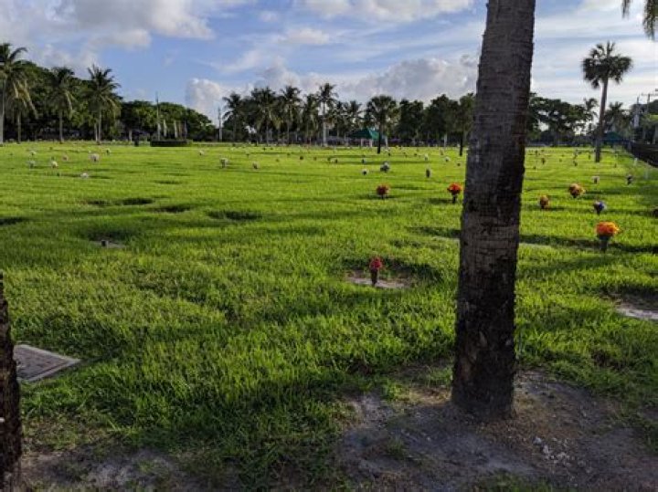 	Pompano Beach cemetery plots to cost more	