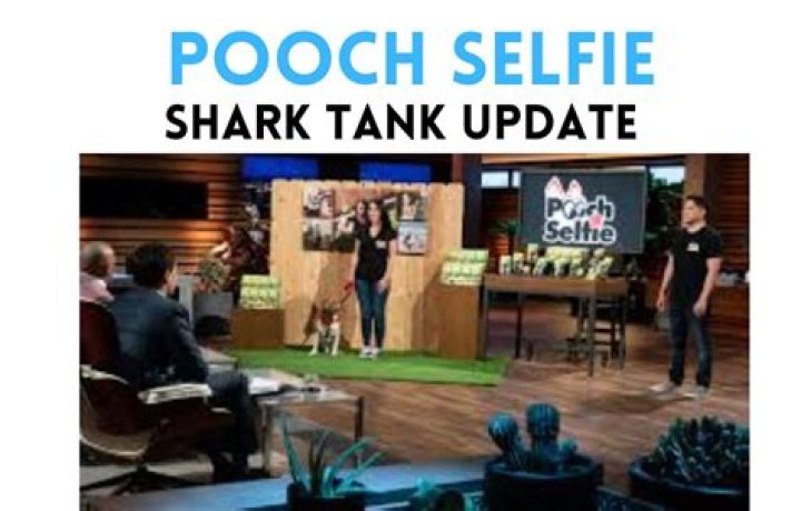 Pooch Selfie Shark Tank Net Worth 2024