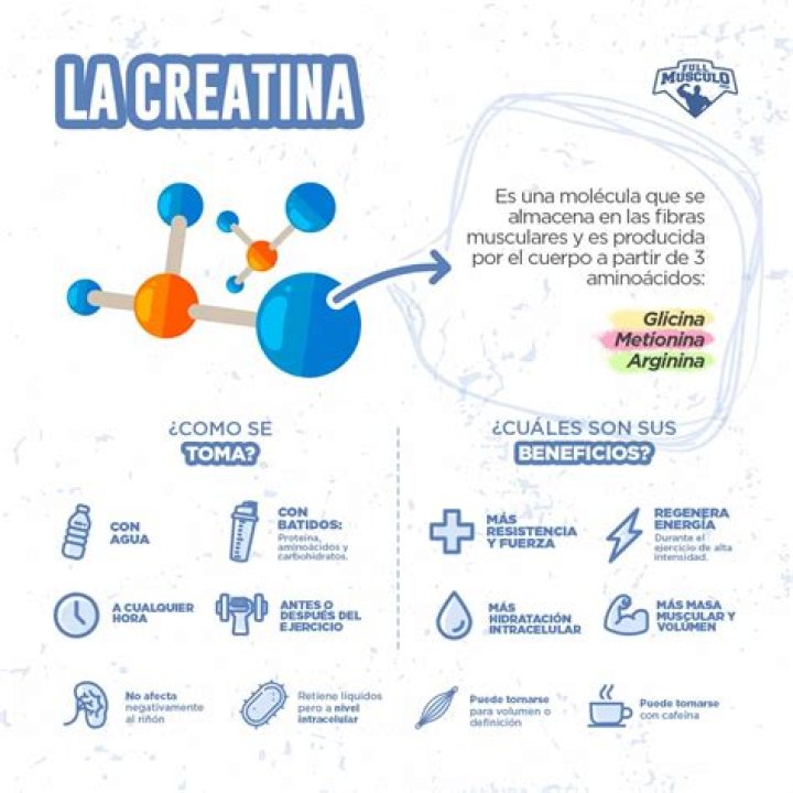 ¿Qué es la creatina? Para qué sirve, beneficios, quién puede tomarla y dosis recomendada