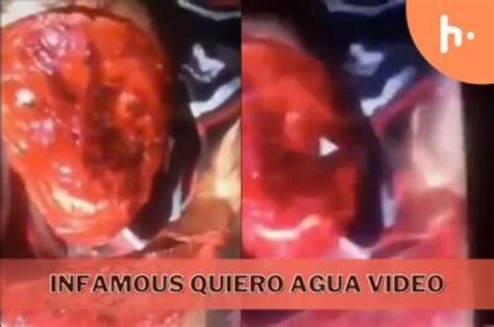 Quiero Agua Video Original Gore: A Deep Dive Into The Controversial Phenomenon