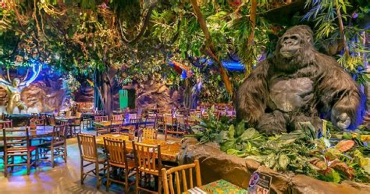 	Rainforest Cafe	