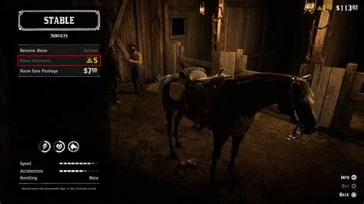 Red Dead Online: How to Get Horse Insurance, What it Does & Do You Need it