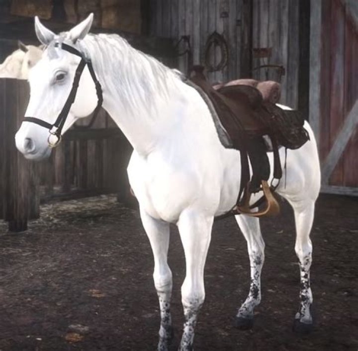 Red Dead Redemption 2 best horse guide: the white Arabian