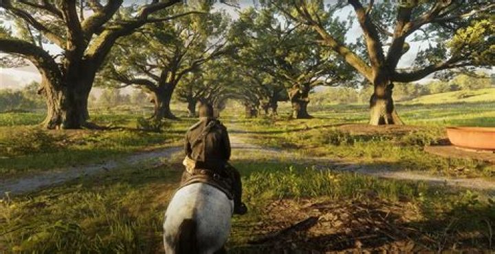 Red Dead Redemption 2: How to Get Drunk