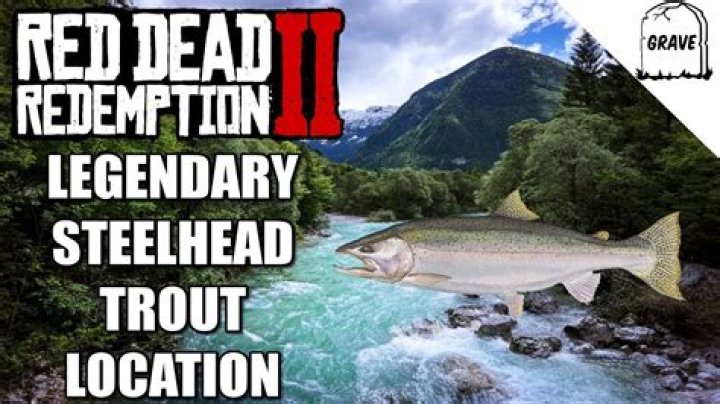 Red Dead Redemption 2: Steelhead Trout Location