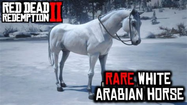 Red Dead Redemption 2 White Arabian Horse Location