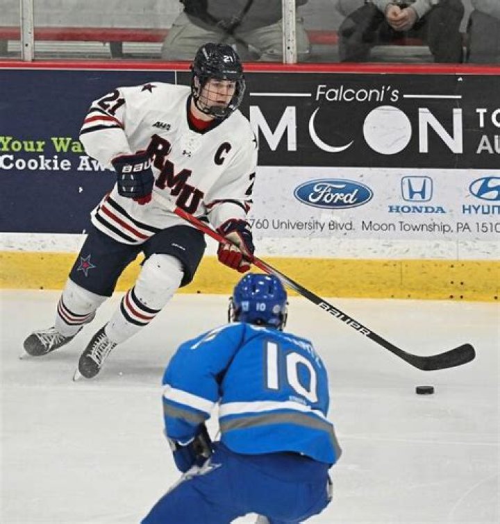 Robert Morris hockey team visits local fire department
