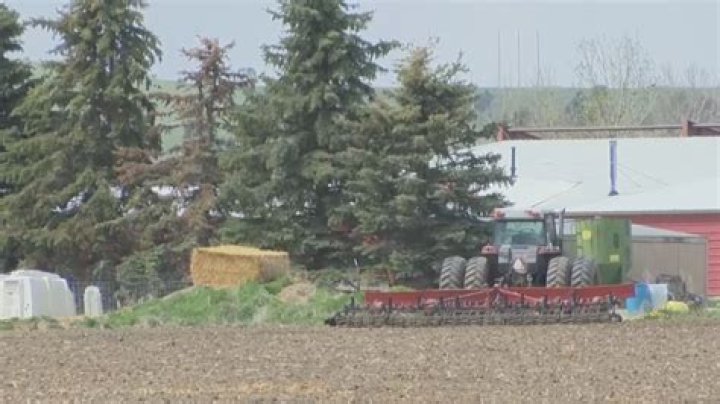 Rural decline and urban growth projected by 2050