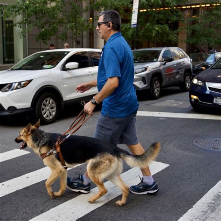 	Scared Publix customer sprays seeing-eye dog with bleach	