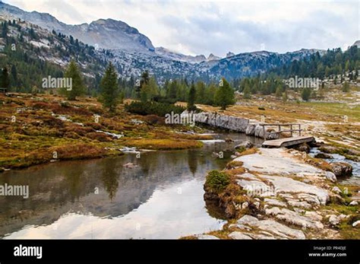 Sennes of the past ... | News