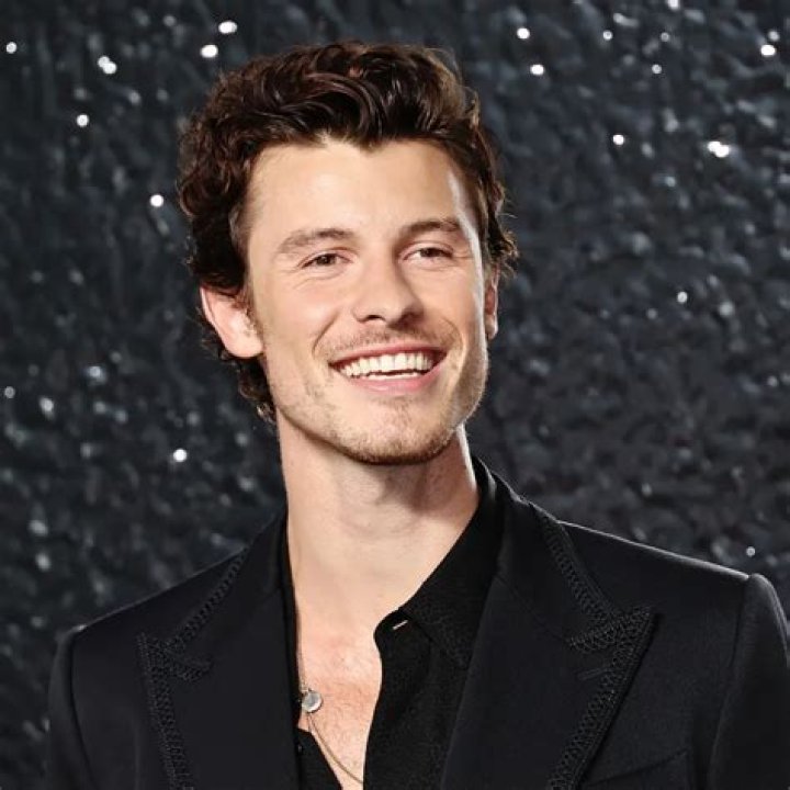 Shawn Mendes Vermögen