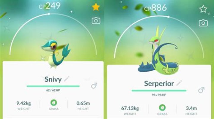 Shiny Snivy Pokémon GO: How to Catch