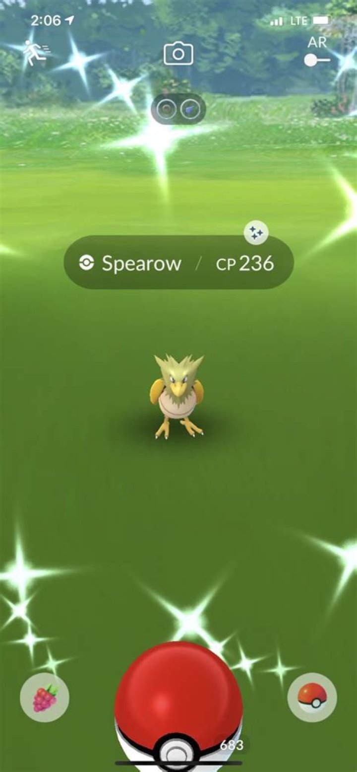 Shiny Spearow Pokemon GO: How to Catch