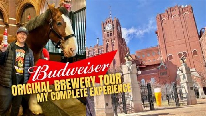 	SHOOTING CASTS PALL ON BUDWEISER R&B; TOUR	