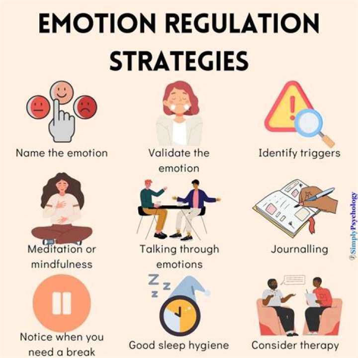 Should We be Guided by Our Emotions in Life?