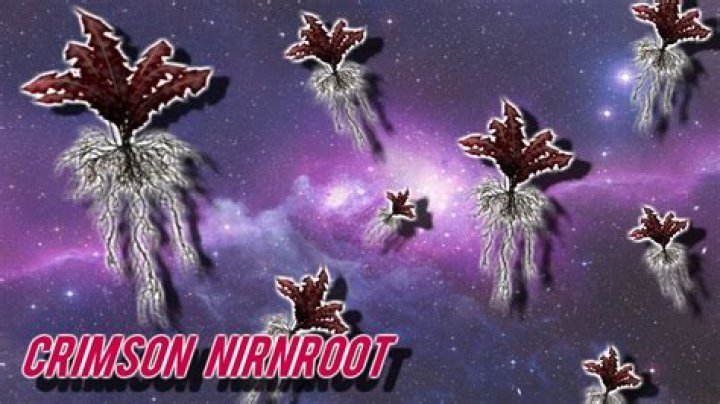 Skyrim: Where to Find Crimson Nirnroot
