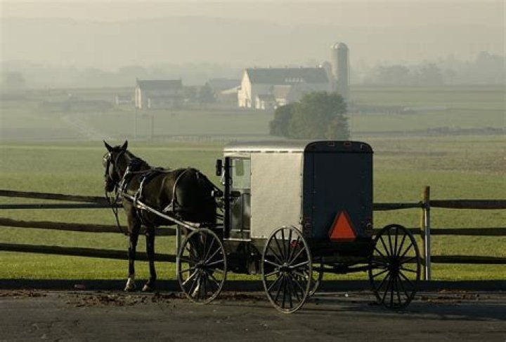 	SLAIN MENNONITE NOT ‘STREETWISE’	