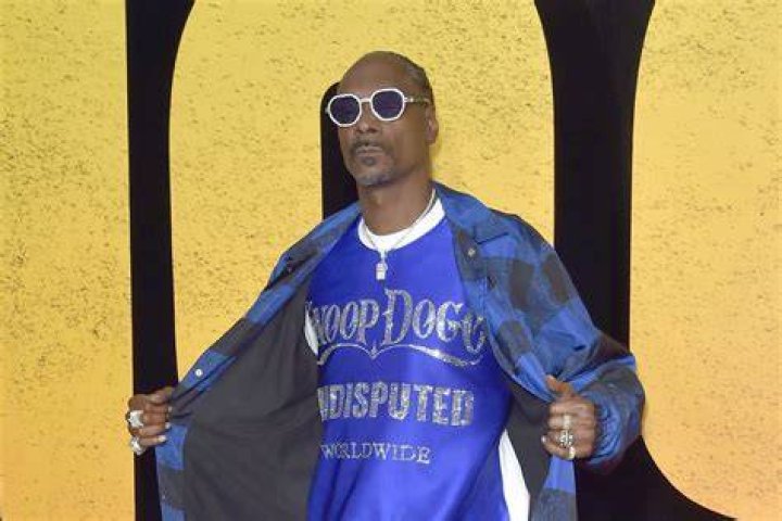 Snoop Dogg's Rap Sheet: A Comprehensive Look Into His Legal Troubles