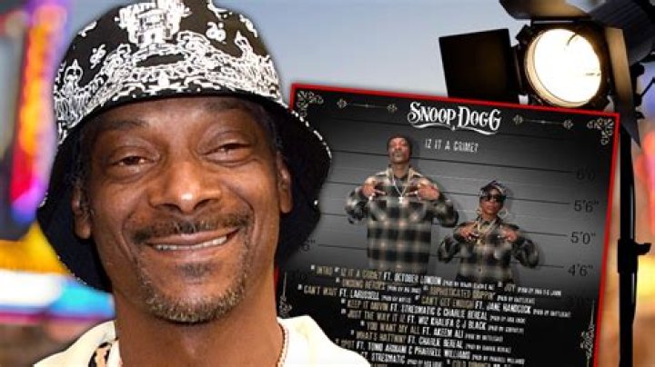 Snoop Dogg Criminal Charges: A Detailed Overview