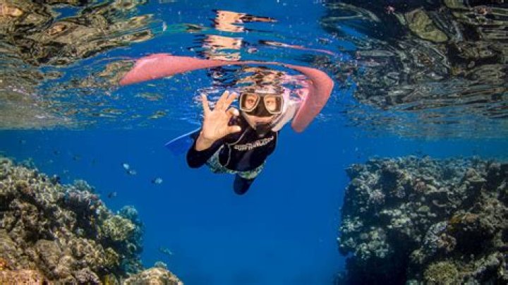 	SNORKELERS MAKE WAVES OVER LOSS OF RED REEF	