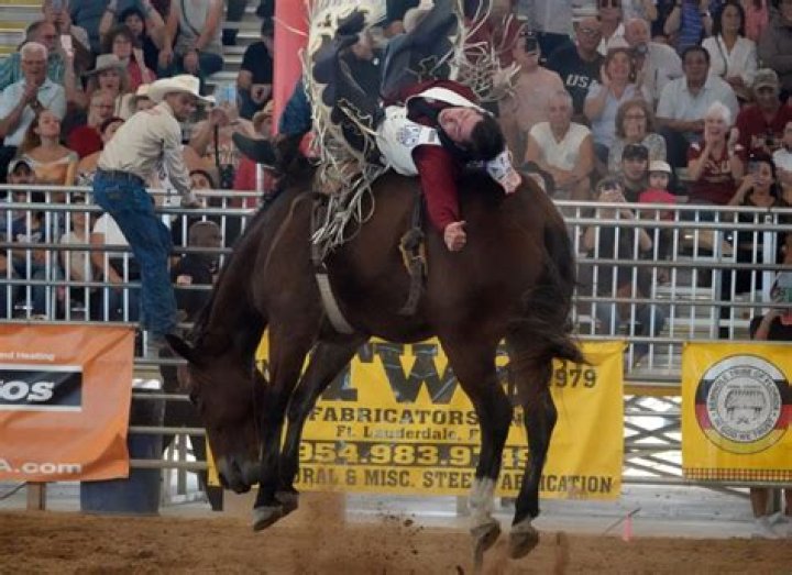 	Southeastern Circuit Finals Rodeo in Davie | PHOTOS	