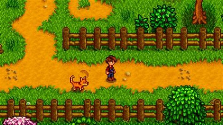 Stardew Valley: How to Get a Dog or a Cat For a Pet