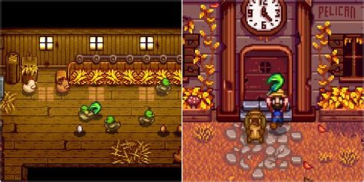 Stardew Valley: How to Get a Duck Feather