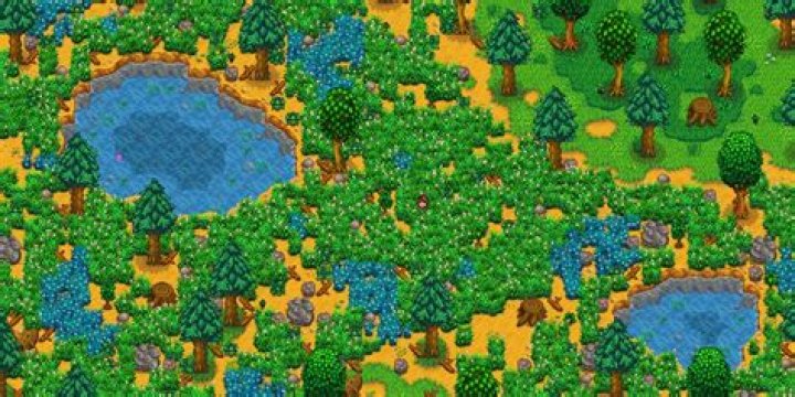 Stardew Valley: How to Get the Seed Maker
