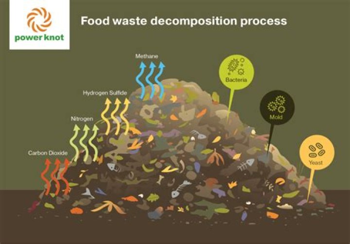 	STINK OVER LANDFILL ODOR DISSIPATES	