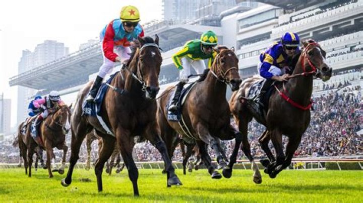 STUNNING PEACH (J301) 桃花開 | Horses | HK Racing